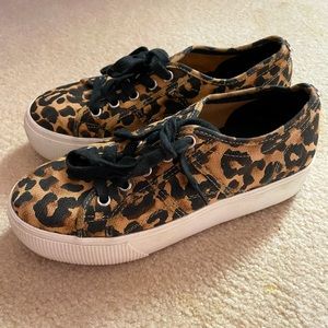 Steve Madden Platform Emmi Sneaker in Leopard/Cheetah Print